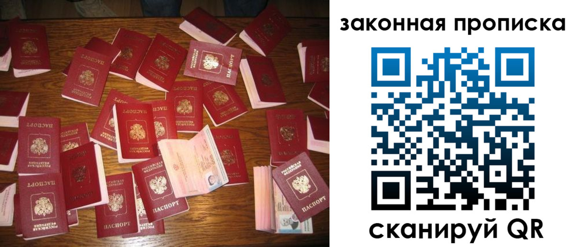 пропишу в квартире в Калининграде